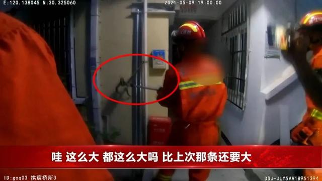 生活报 “什么东西掉到了头上？”男子抬头一看，吓到腿软