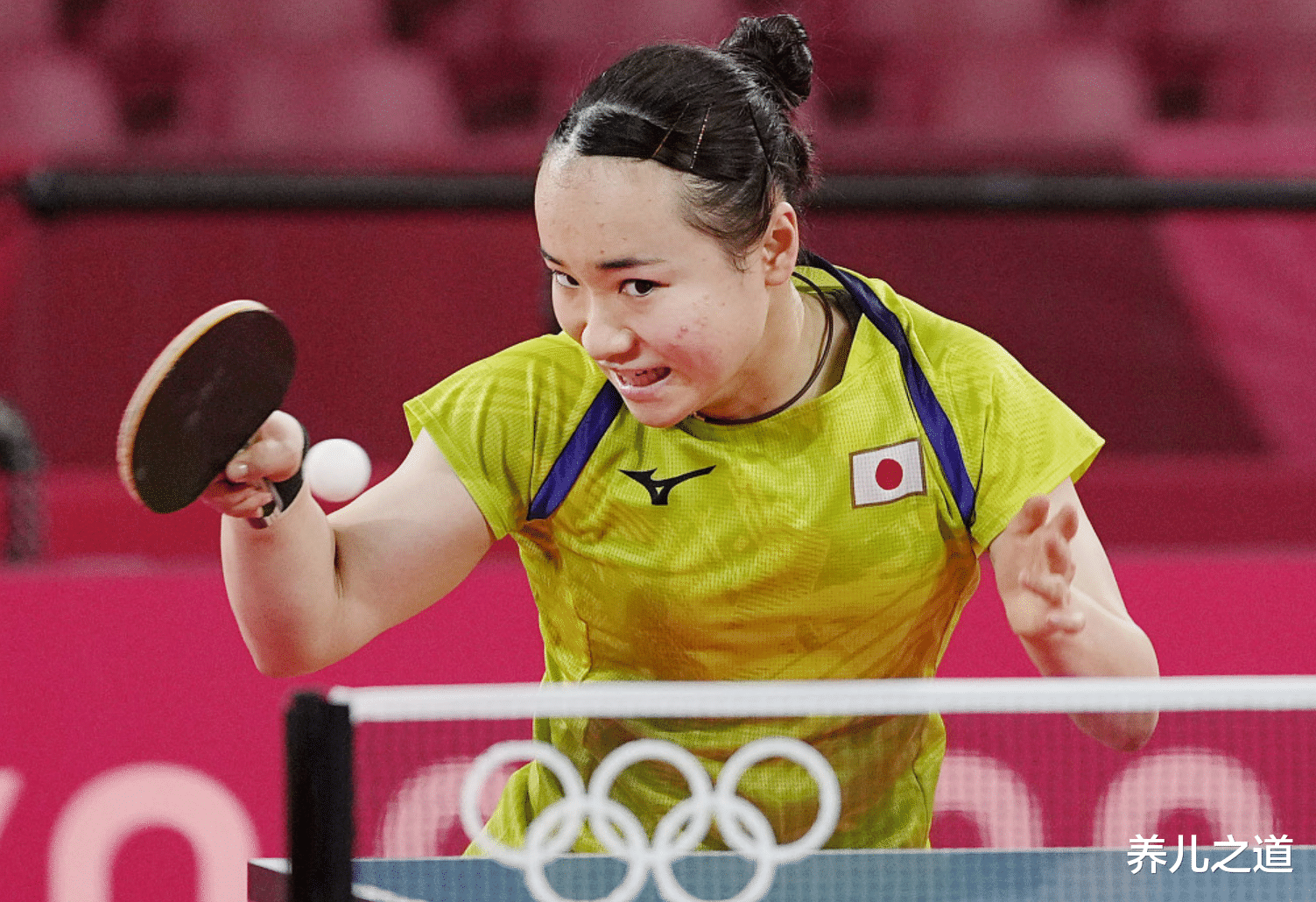 养儿之道|日本乒乓选手伊藤，为什么胜负欲这么强？全靠她妈的“阴间教育”
