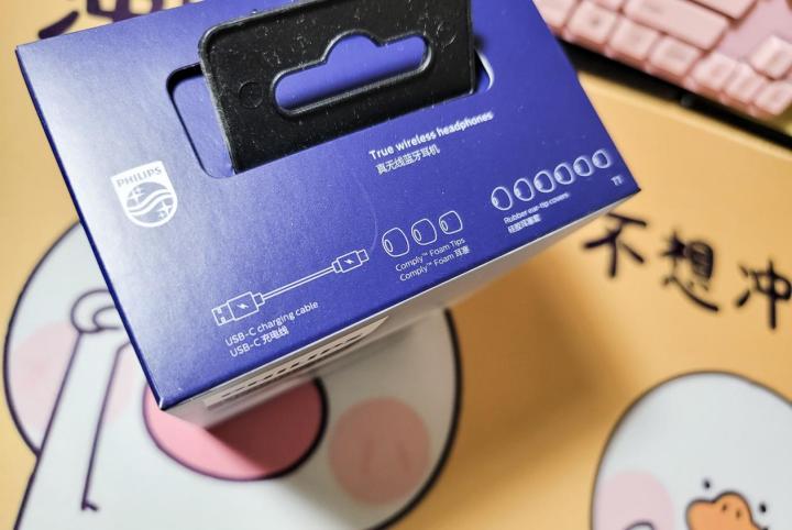 飞利浦|Fidelio系列首款降噪真无线究竟如何？飞利浦Fidelio T1