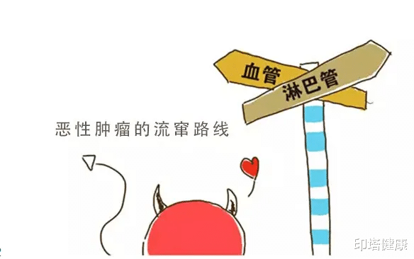 腫瘤|穿刺活檢會不會加速癌癥轉移？關于轉移的這些知識必須掌握！