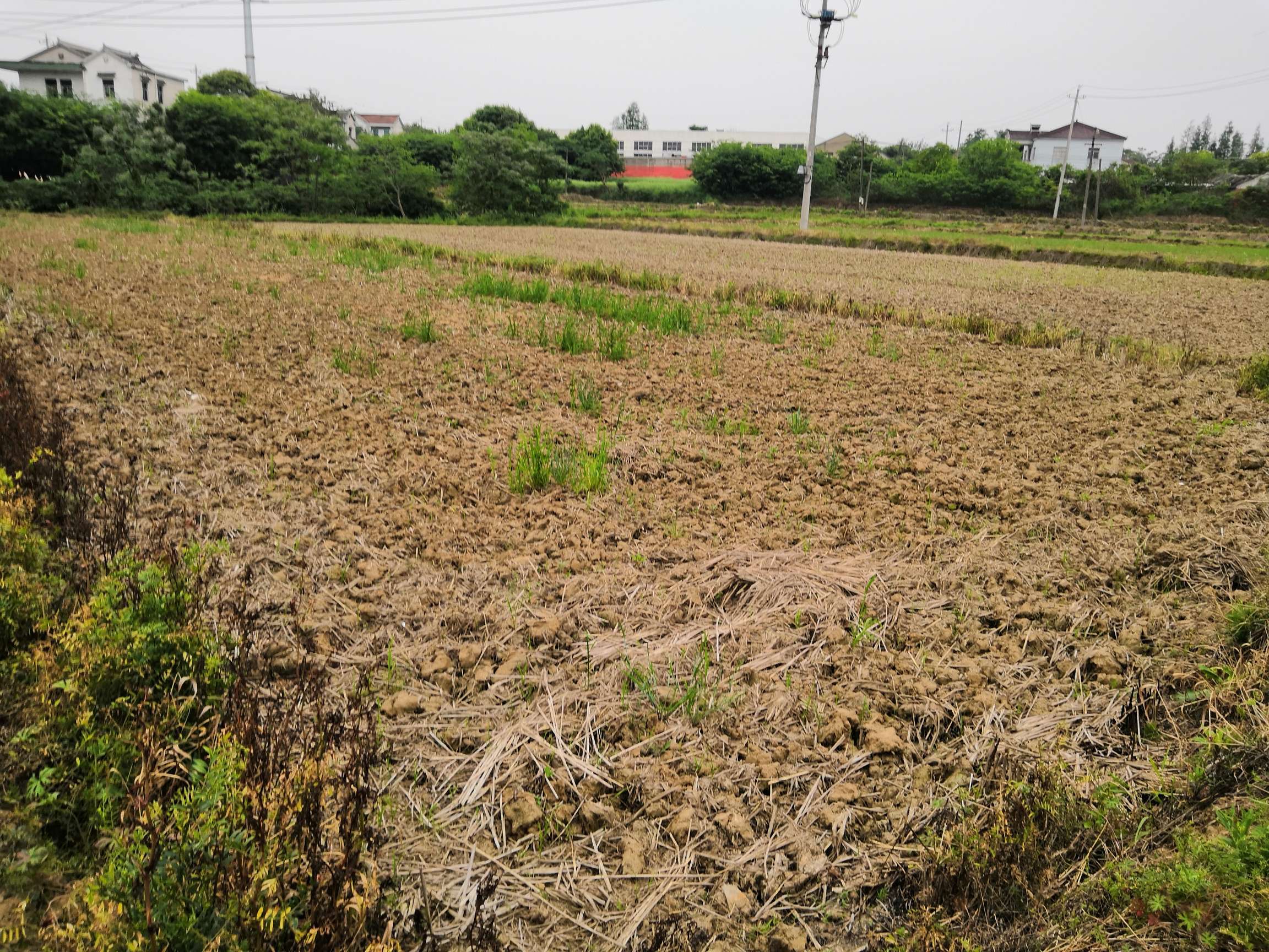 大话三农八卦 农村荒地整治，荒地要收回？一类土地归集体，两大问题农民要注意