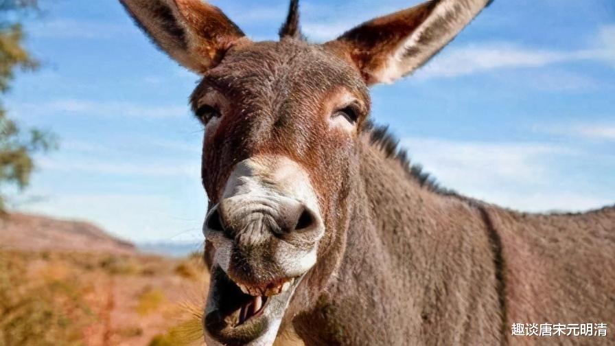 染色体 骡子不能生育下一代,怀孕必死?不要被骗了,骡子有隐藏技能