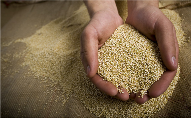 衰老|女人衰老的5个特征，若是你全中了，别不服，你可能已经老了