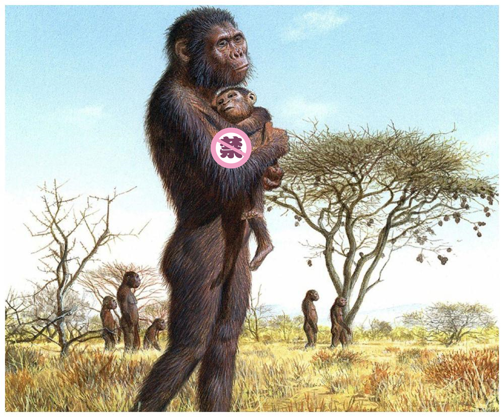 动物在哺乳期胸部才会变大,人类遭遇了啥?为何可以保持一辈子?