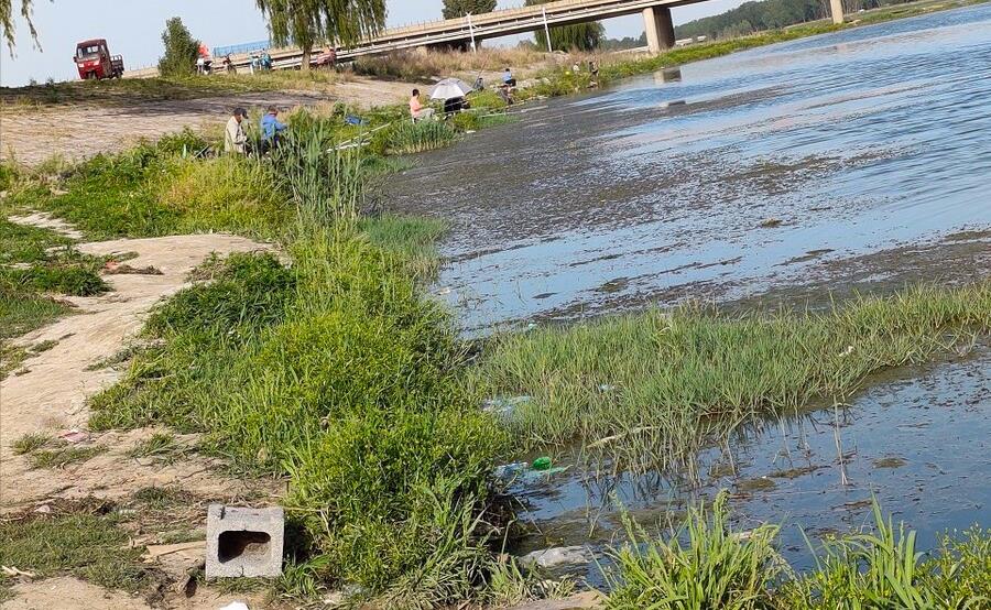 |钓鱼破坏性太强，应该推行全国禁钓！钓鱼人得罪了谁？