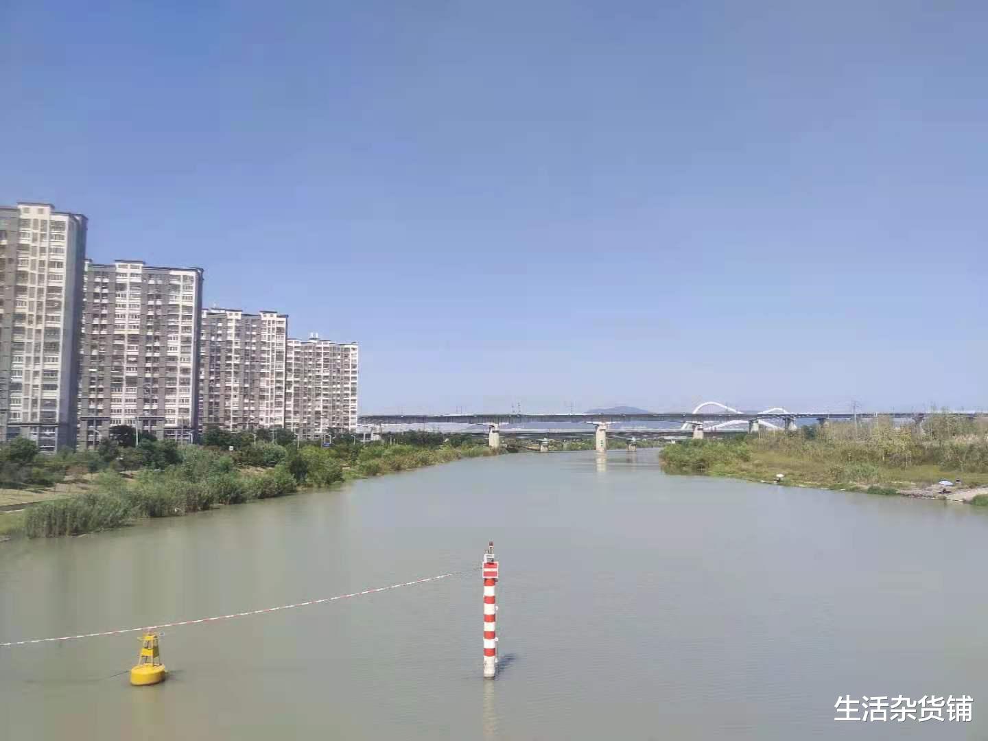 蔬菜 减肥365天第31天之重回梦想的起点