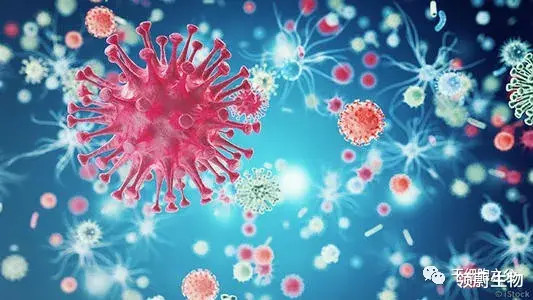 肝炎 好发于女性，干细胞移植治疗自身免疫性肝病的应用前景