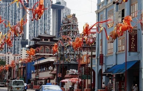 為何新加坡寧願影響經濟發展，也要廢除、抵制漢語？原因很簡單-圖6