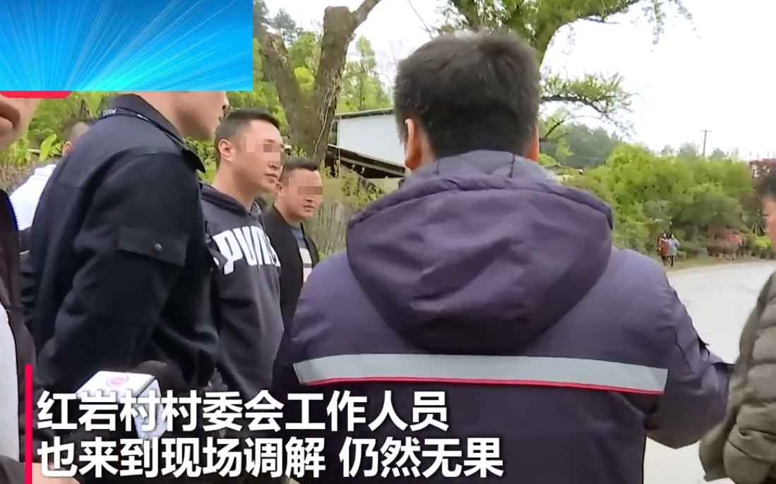 到处踅摸 货车侧翻压到农家树，树主人：先拿16万押金，才能把车吊起来