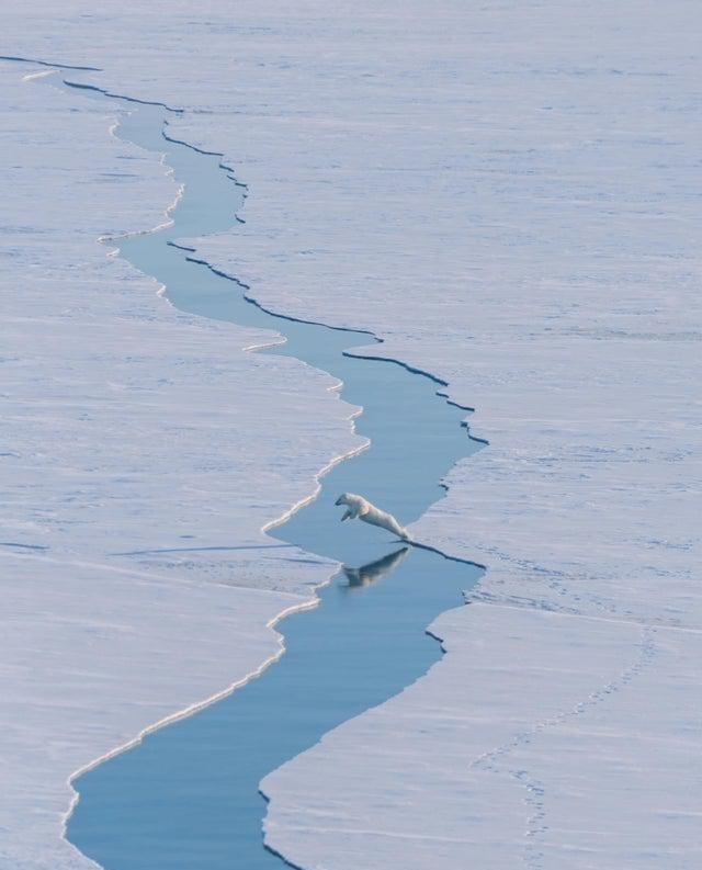  9张大自然“罕见”的照片！双头蛇2个头同时吃东西，你见过没？