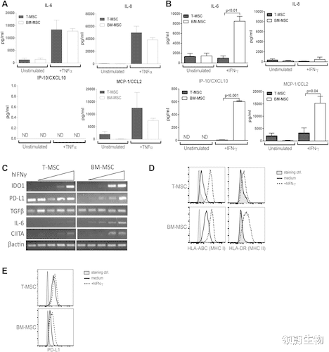 胚胎干细胞 干细胞新药!可静脉滴注的胚胎干细胞来源的在研新药临床顺利进行