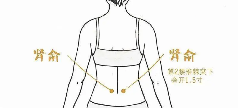 红枣|大暑艾灸,排毒泄旧病!抓住中伏冬病夏调,养生绝佳好时机!