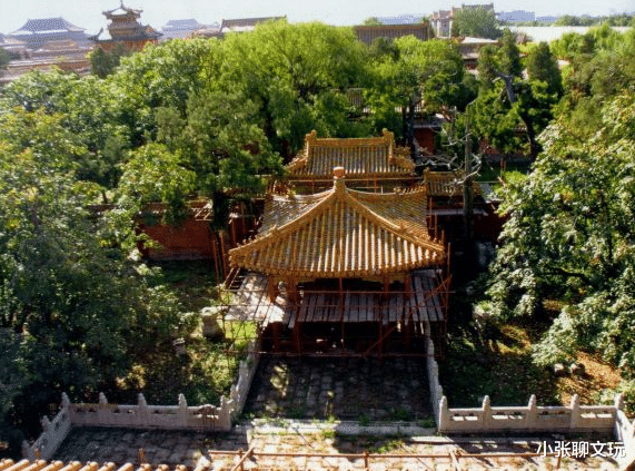 菩提|文玩菩提中的冷门手串，可玩性和颜值都不高，但卖的还挺贵