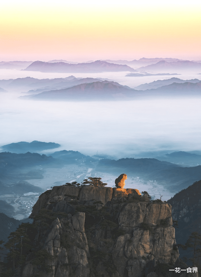 一花一食界|如果你想去黄山，那就看看吧~（上）