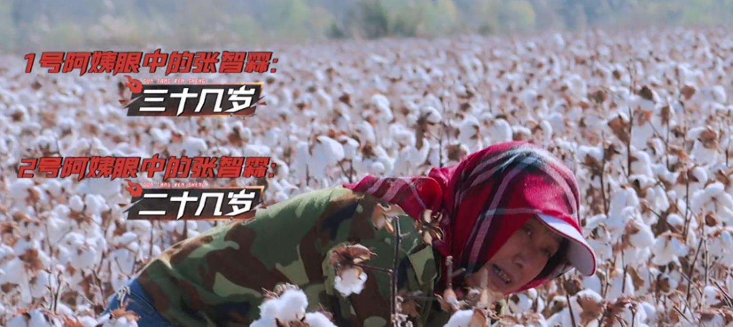 哥哥|《哥哥》后芒果又出爆款，5位常驻笑点密集，新疆棉内容展现格局