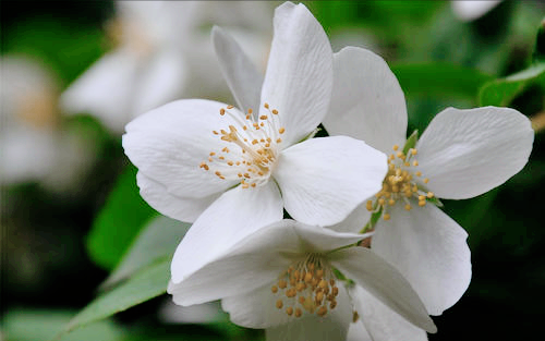 杨过|杨过苦寻小龙女16年：人生，还需要主动一点