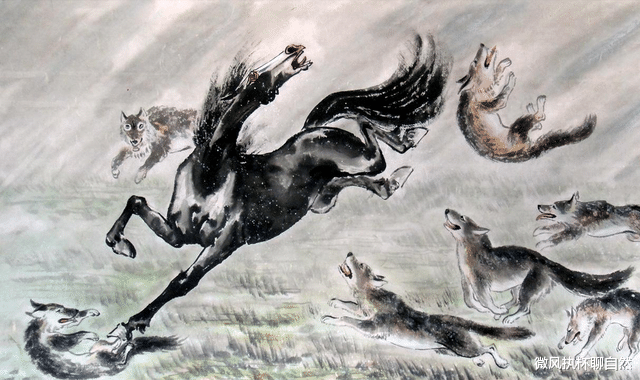  草原上的马王传奇：人工培育的马王被野马取代，马群遭到狼群袭击