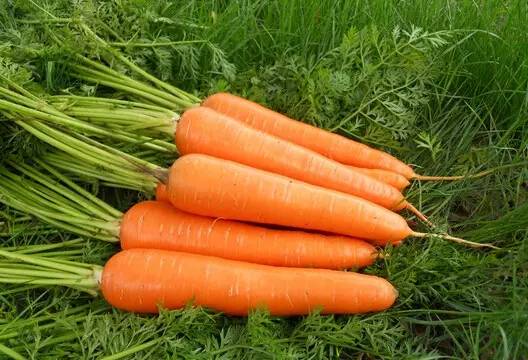 健康知识小讲堂|爱吃这10种食物的人，少生病，易长寿
