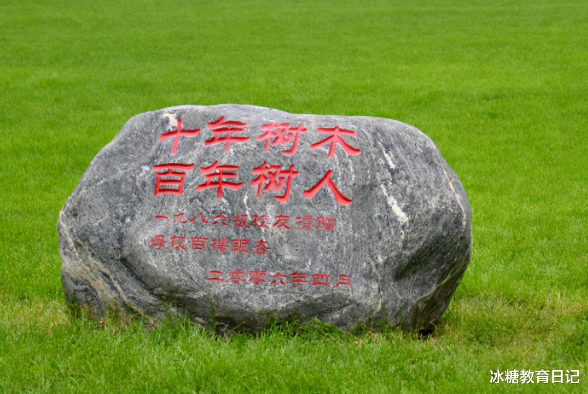 高校|世界大学排名出炉，清华首次进入20强，国内很多高校排名有所提高