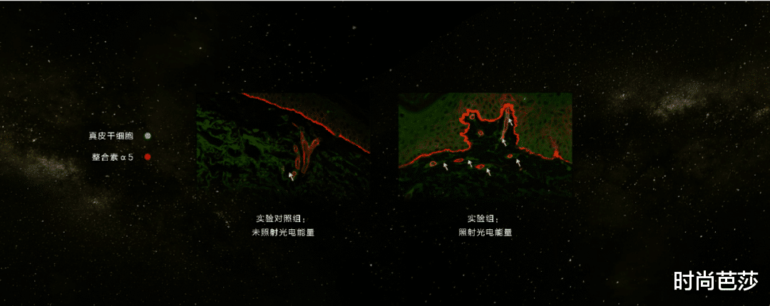 低血糖|李一桐这妆感，说她是美妆界沧海遗珠不过分吧？