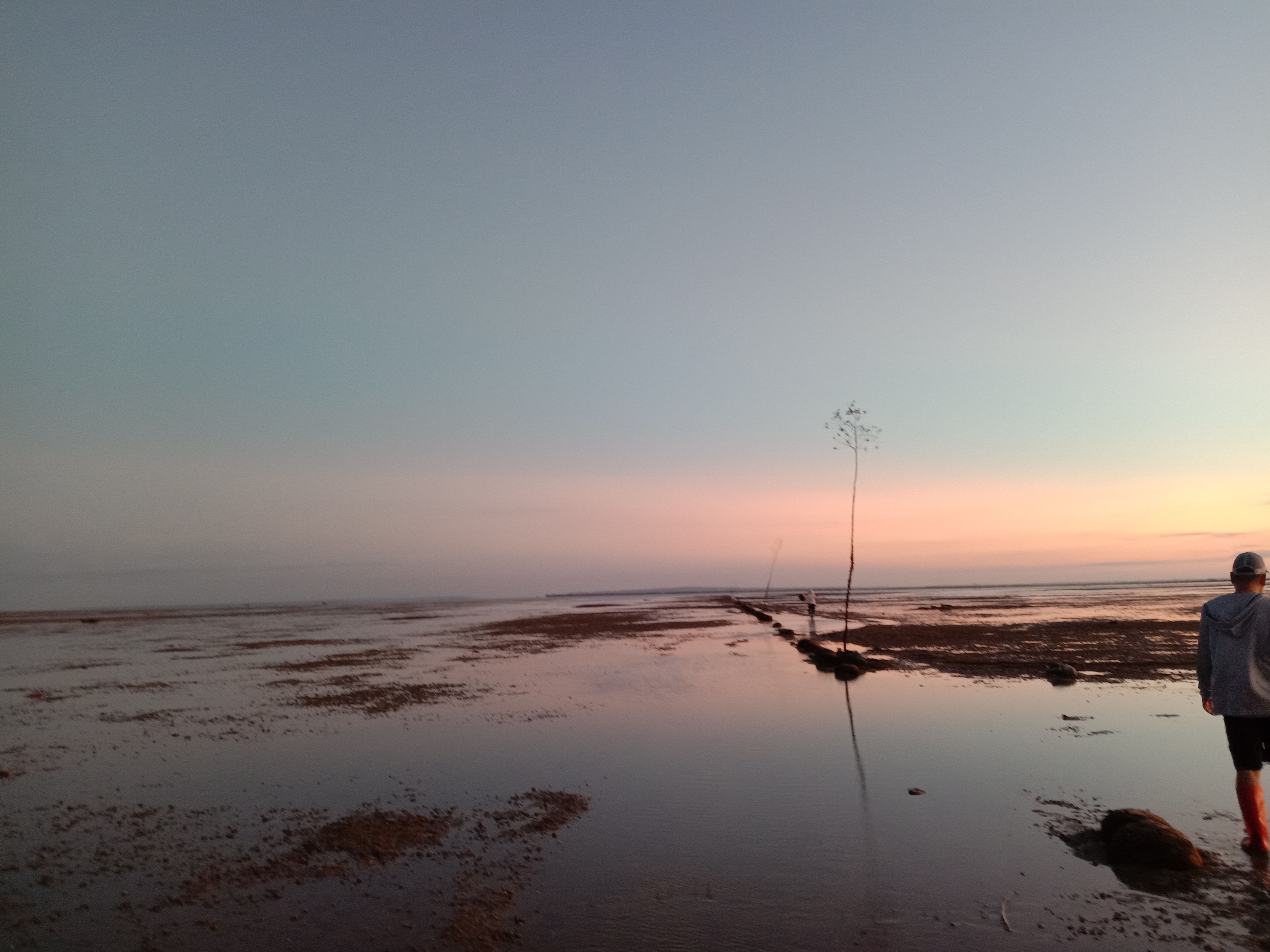湛江|中国最南端的城市，湛江三面环海，钓鱼人的圣地，来了不想走