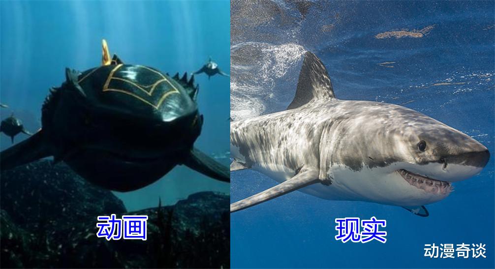 小舞|现实中出现的魂兽，小白让人窒息，小舞是餐桌新宠