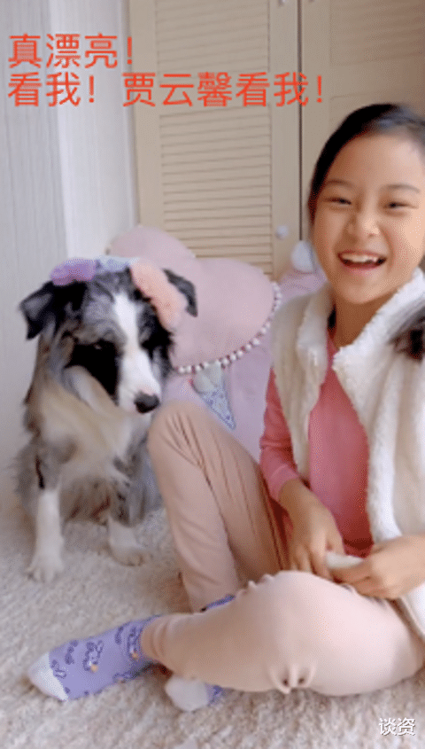 贾云馨|李小璐晒女儿与宠物狗玩耍视频，直呼甜馨大名，贾乃亮听了都高兴