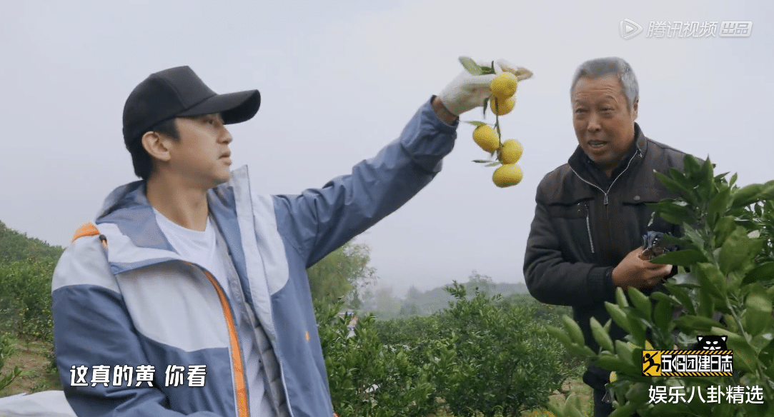 迪丽热巴|《五哈2》为何一上线就备受好评？这就是王征宇的“厉害之处”