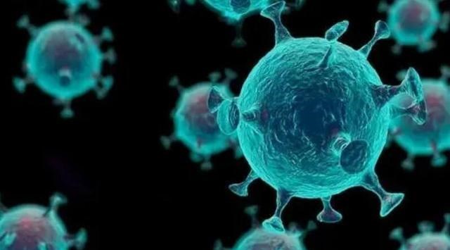 隔离 世界上如果没有生殖隔离，将会怎样？其实并非是好事！