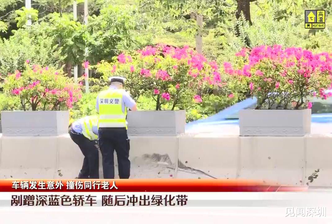 见闻深圳 深圳女司机倒车踩多油门，撞上后车再冲上绿化带，老人因此受伤