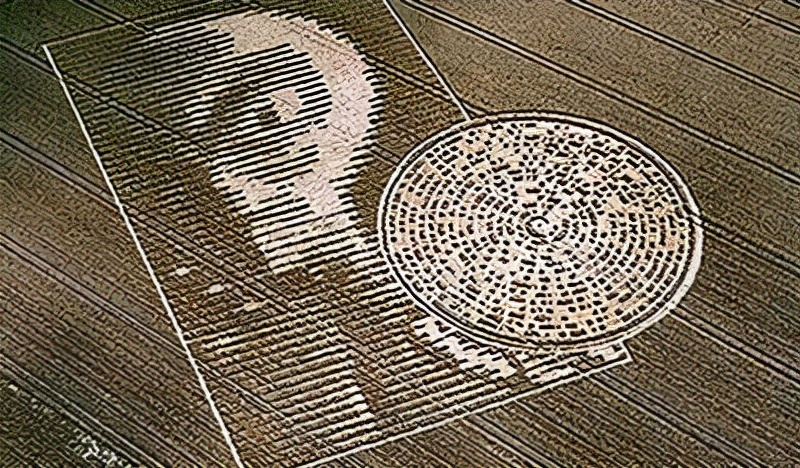 麦田圈，是外星人的杰作还是人类的恶作剧？