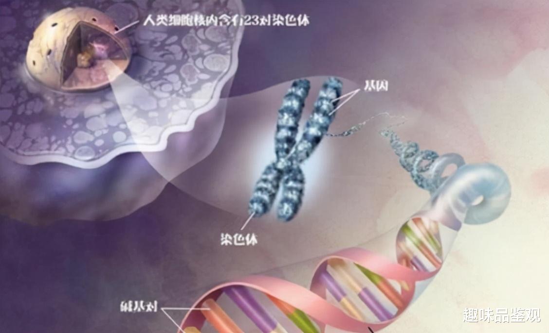基因 外星人通过改变人类基因，降低我们的智慧和寿命？时间会证明一切