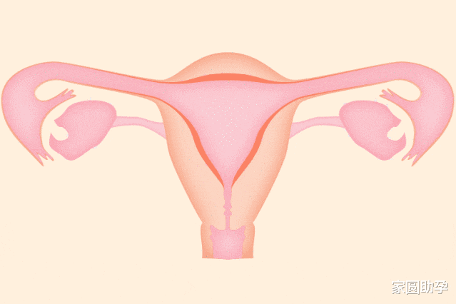 家圆助孕|南京核酸检测人员一天喝7瓶水未上厕所，长期憋尿对身体有害！