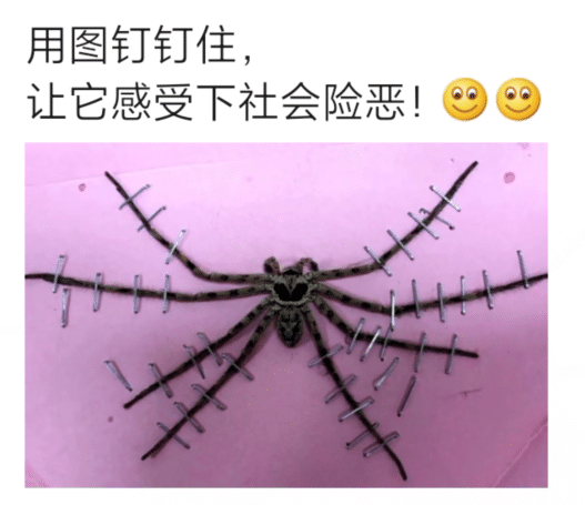 秃顶|“为什么秃顶的宁愿留一圈头发，也不愿意推光头？”哈哈哈神评是个人才