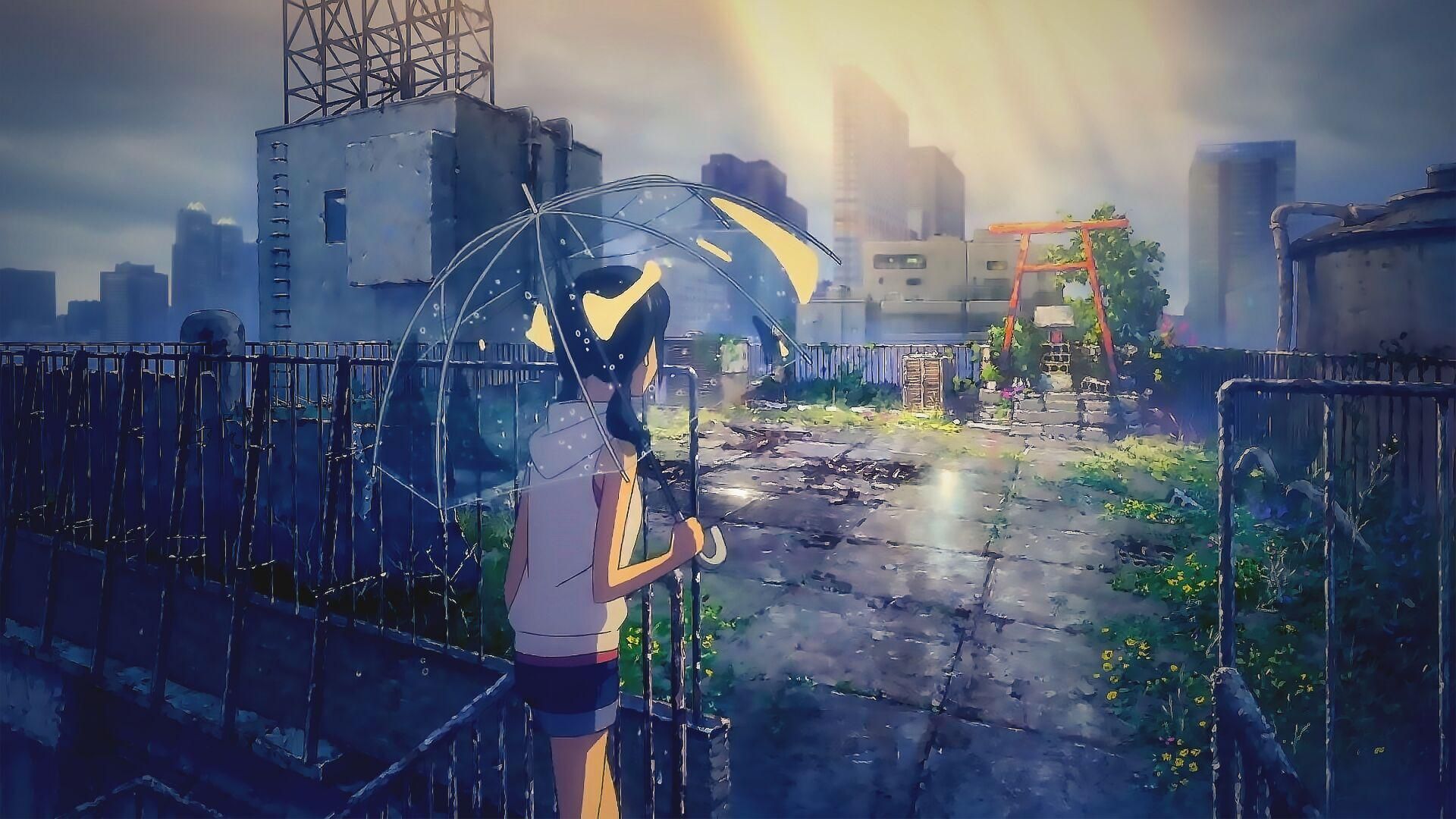 当家主母|三年之约即将到来，新海诚新作消息即将公布