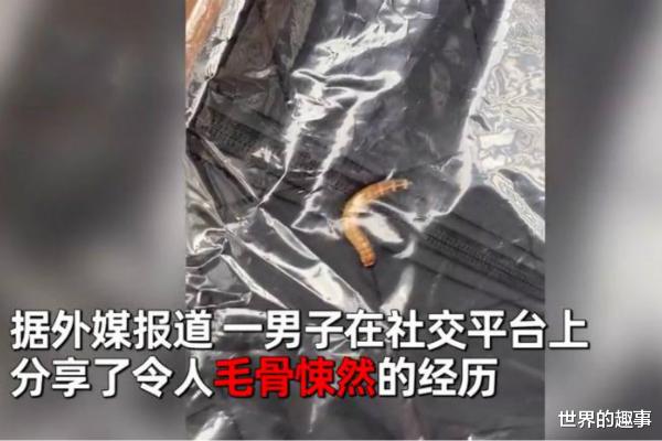 男子拆开耐克的包裹后被吓呆 衣物竟有三十条活虫在爬动