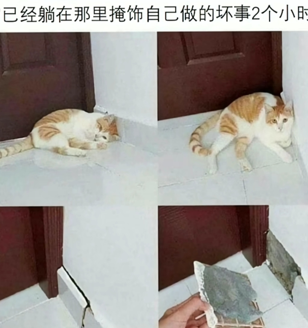 魔兽世界怀旧服|搞笑图片：懂你奇奇怪怪，陪你可可爱爱