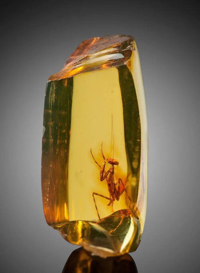 |16个非常罕见的真空场景，看看有没有你遇到过的！