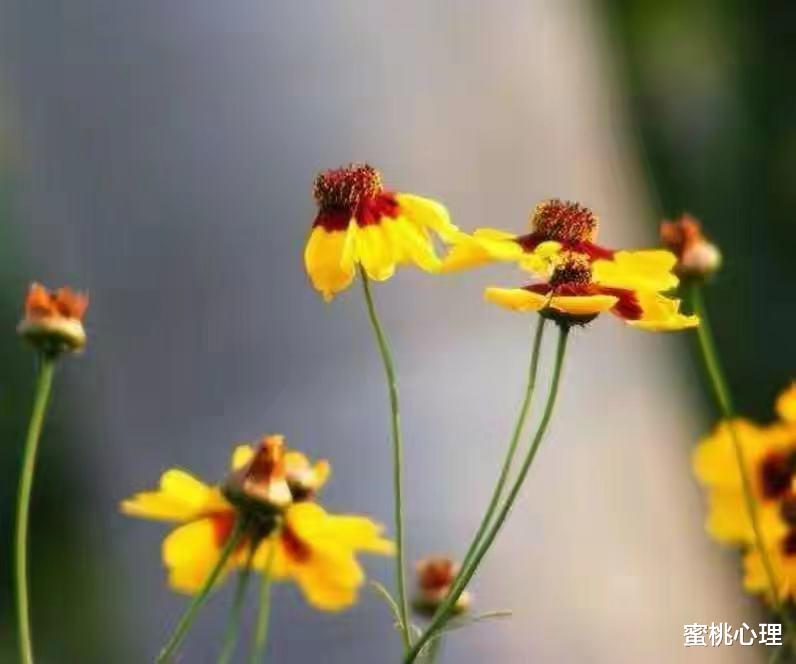 蜜桃心理|一个人做到这3点，好运不请自来，霉运不请自去