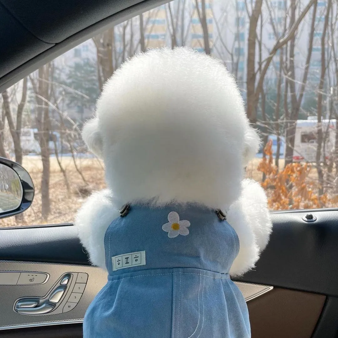 InsDaily 韩国快乐小奶狗爆红网络!看完心都快萌化了!