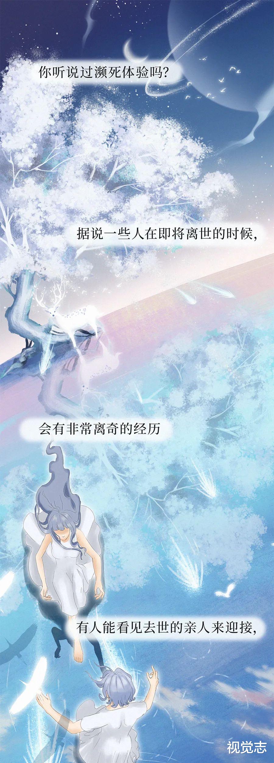 视觉志|人死后会去哪里？濒死者说出了真相