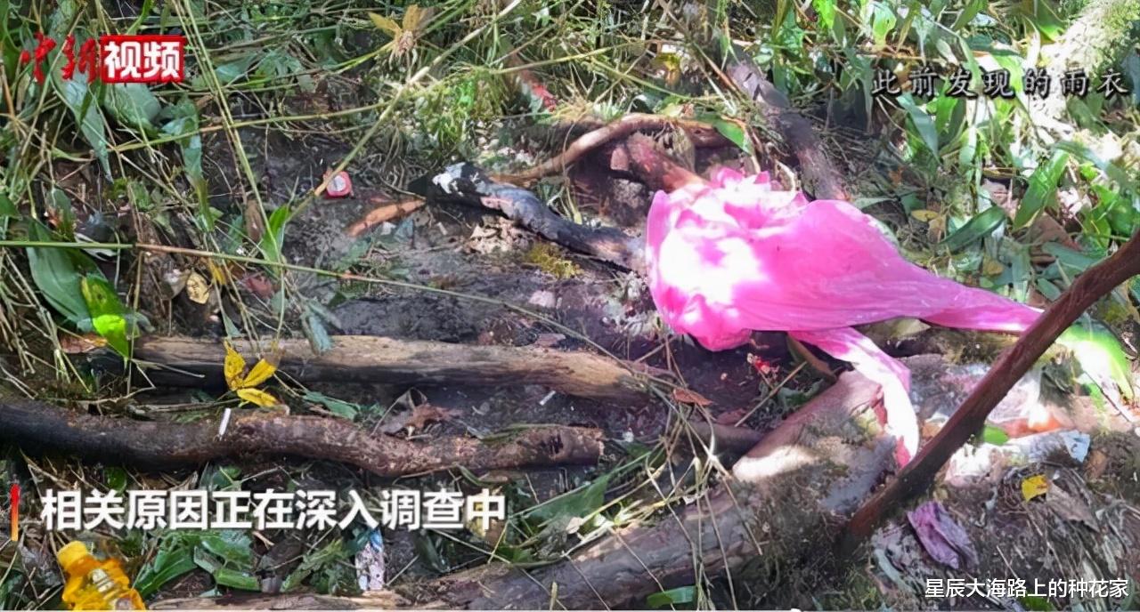 雷击还是失温？砍刀、汽油、羽绒服齐备，地质队员是如何遇难的？