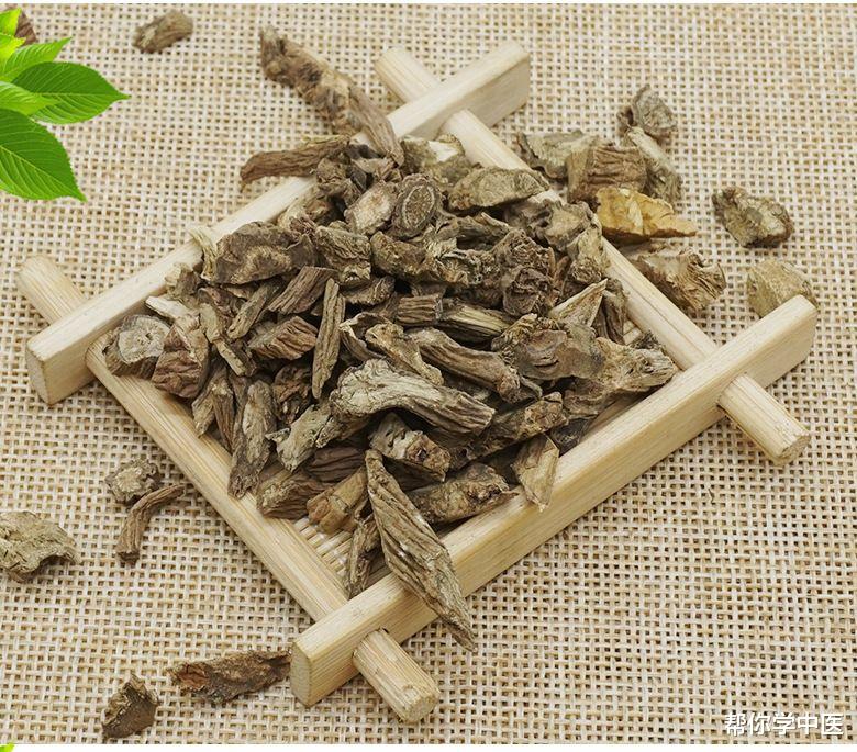 帮你学中医|腰痛喜捶、喜按、喜揉,记住这个小方!补肾气、舒筋脉,止腰痛