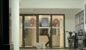 东丞侃天下 好想你，在武汉封城期间陪伴了我2个月……现在，你在哪？