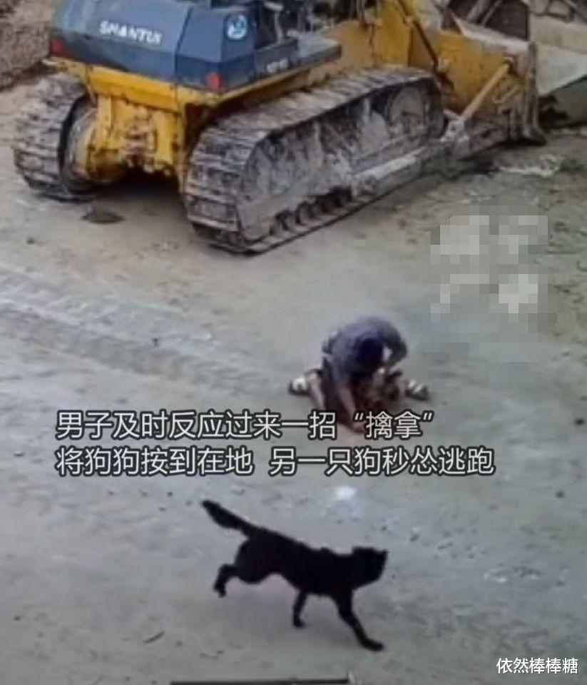 阿里巴巴 男子被疯狗扑咬，关键时刻一个动作救了他