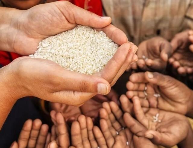 核酸检测 颠覆性突破！中国科学家用二氧化碳合成淀粉，究竟有什么意义？