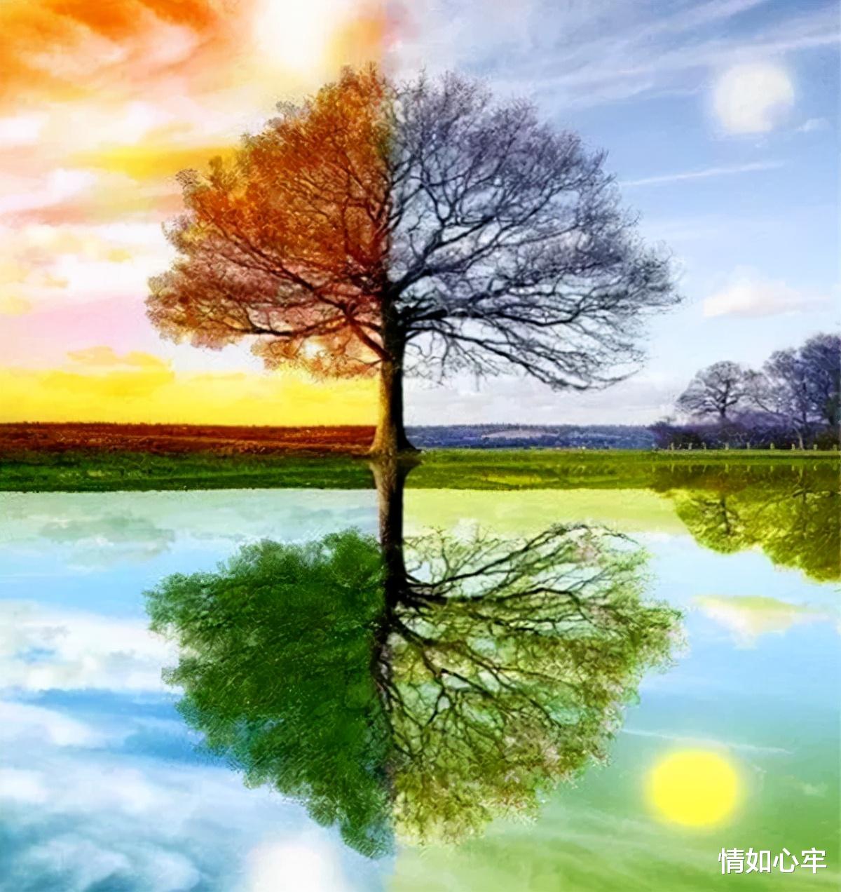 情如心牢 46岁女子为讨好小男友，狂砸200万却留不住：他是真心对我