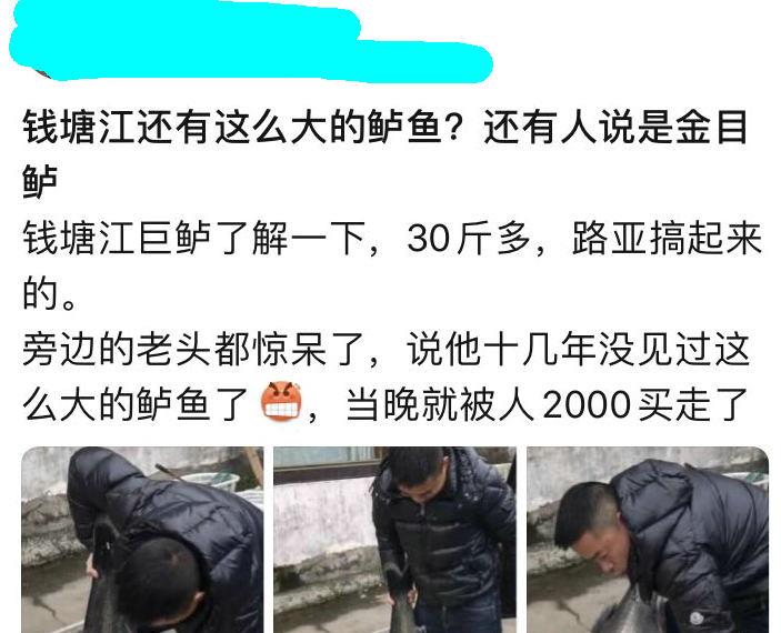 徐晓峰|30斤！钱塘江“鲈鱼王”被人钓起，卖出2000元，网友：渡了多少劫