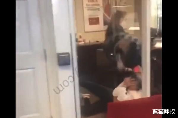 姐姐 妹妹和老公搞上暴怒妹冲进面试会场狂扁！视频曝光