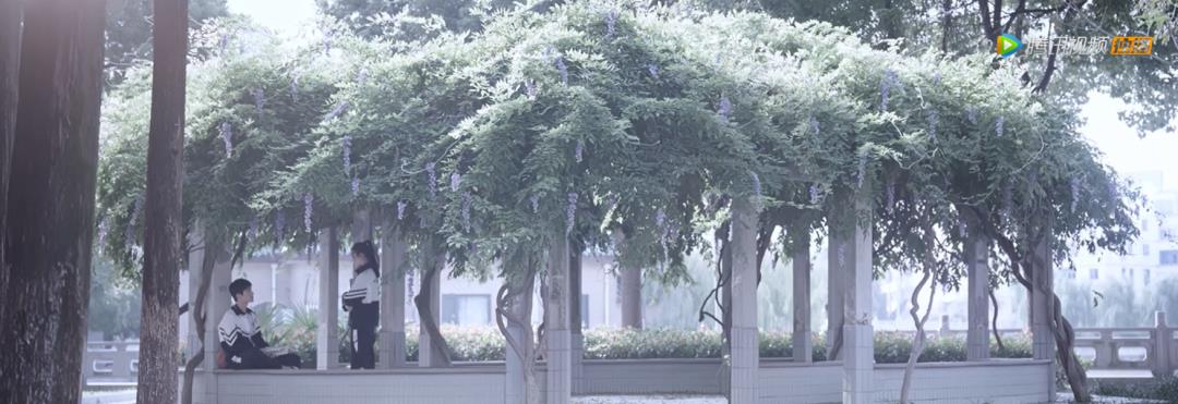 乔晶晶|拍一部爆一部，她怎么这么强？